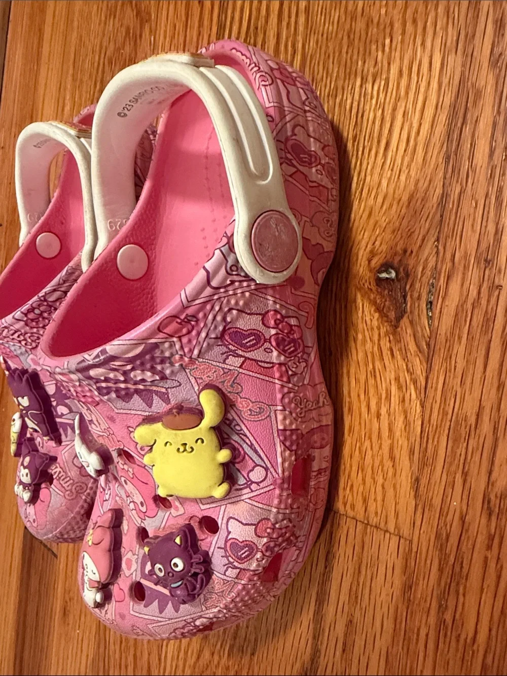 CROCS Kids Pink Character Slip-On Clogs with Backstrap